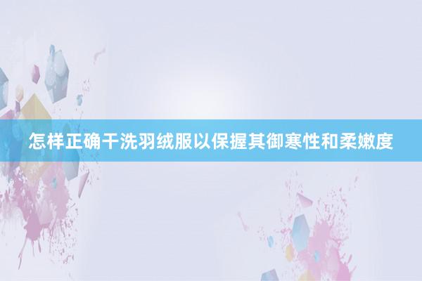 怎样正确干洗羽绒服以保握其御寒性和柔嫩度